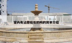 室內有沾蘑菇石的嗎的簡單介紹
