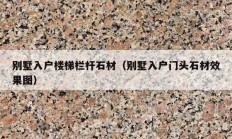別墅入戶(hù)樓梯欄桿石材（別墅入戶(hù)門(mén)頭石材效果圖）