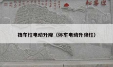 擋車(chē)柱電動(dòng)升降（停車(chē)電動(dòng)升降柱）